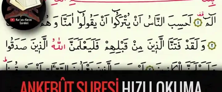 Ankebut Suresi