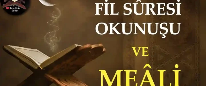 Fil Suresi Okunuşu ve Meali
