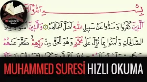 Muhammed Suresi